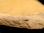 Closeup of the paste inside a borderware sherd - click image to see larger view.